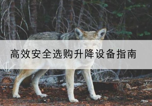 曲松升降货梯厂家推荐-*安全选购升降设备指南