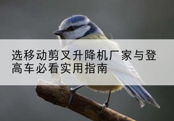 曲松电动升降机厂家-选移动剪叉升降机厂家与登高车必看实用指南